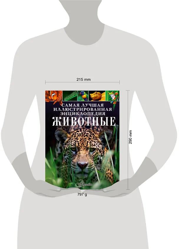 Книга Животные (Майкл Лич) — 4