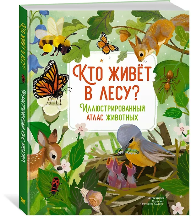 Книга Кто живёт в лесу? Иллюстрированный атлас животных (Алтея Вилла) — 4
