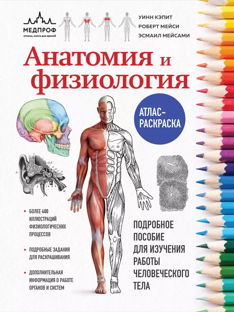 Анатомия и физиология. Атлас-раскраска (Уинн Кэпит, Эсмаил Мейсами, Роберт  Мейси) - купить книгу с доставкой в интернет-магазине «Читай-город». ISBN:  978-5-04-185725-7