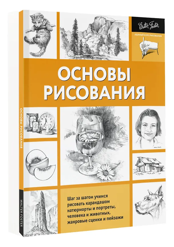 Книга Основы рисования (А. Степанова) — 4