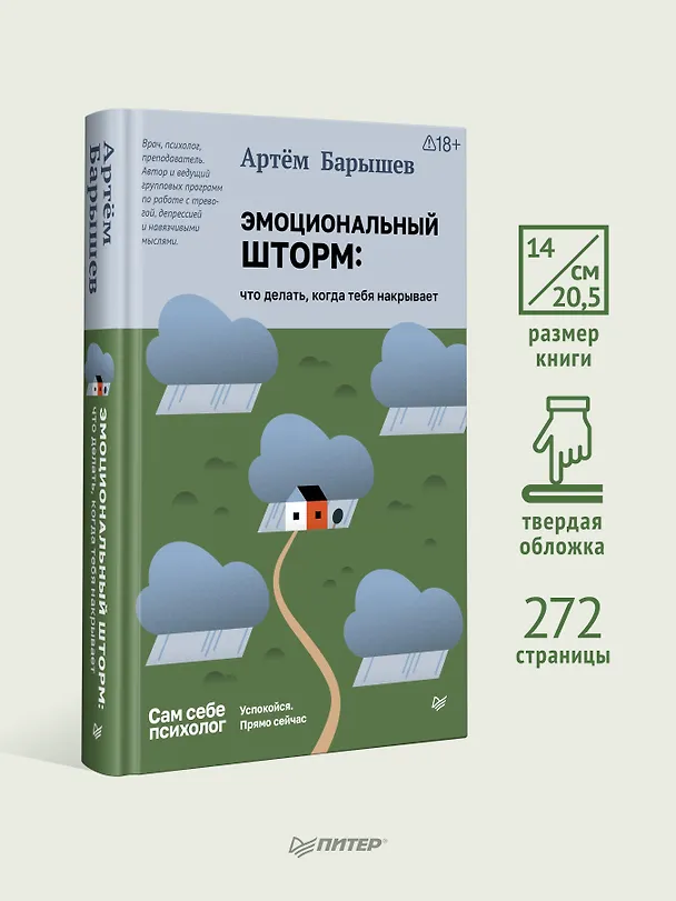 Книга Эмоциональный шторм: что делать, когда тебя накрывает. Успокойся. Прямо сейчас (Артем Барышев) — 4