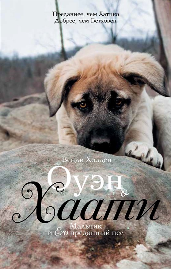 Книга Оуэн & Хаати: мальчик и его преданный пес (Венди Холден) — 1
