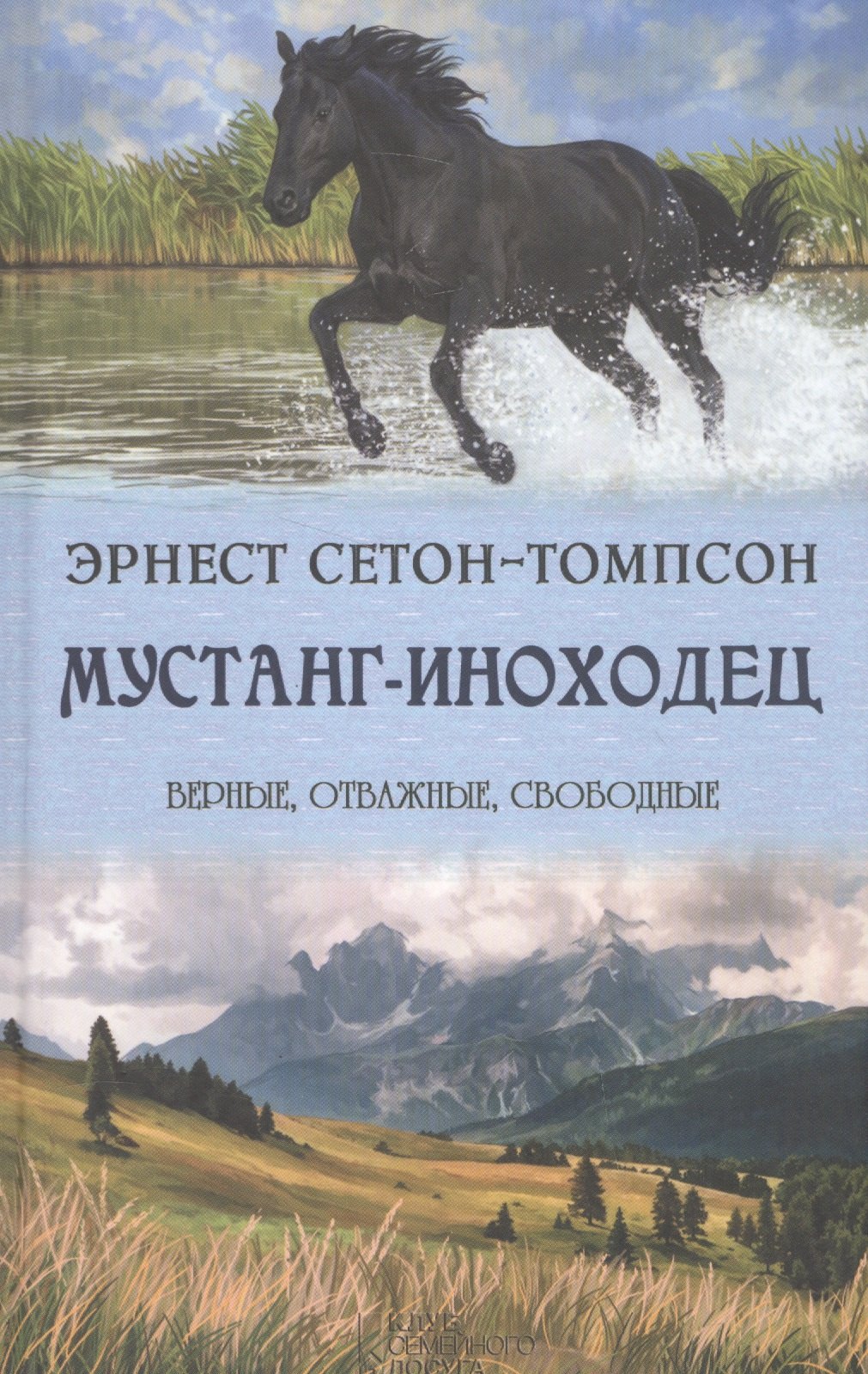 

Мустанг-иноходец