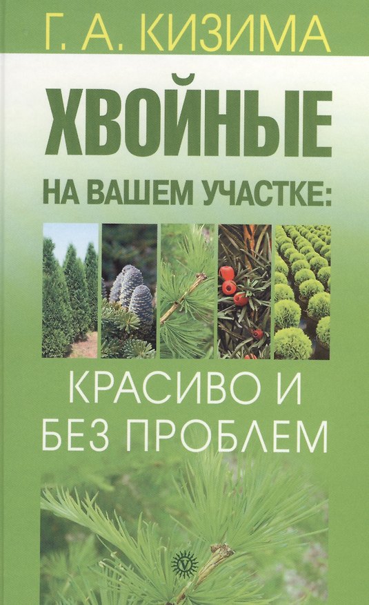 Книга Хвойные на вашем участке: красиво и без проблем (Галина Кизима) — 1