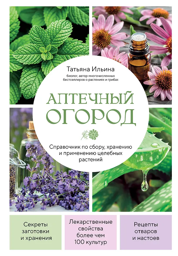 Книга Аптечный огород. Справочник по сбору, хранению и применению целебных растений (новое оформление) (Татьяна Ильина) — 1
