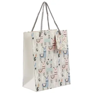 Пакет А5 23*18*10 "Cute lama" дет., бум.мат.ламинат (в ассортименте)