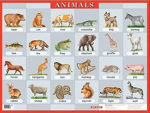 Животные. Animals. Наглядное пособие по английскому языку