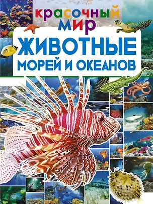 Книга Животные морей и океанов (Мария Закотина, Вячеслав Ликсо, Любовь Вайткене)
