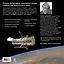 Телескоп "Хаббл": самые удивительные фотографии Вселенной — 2449413 — 2
