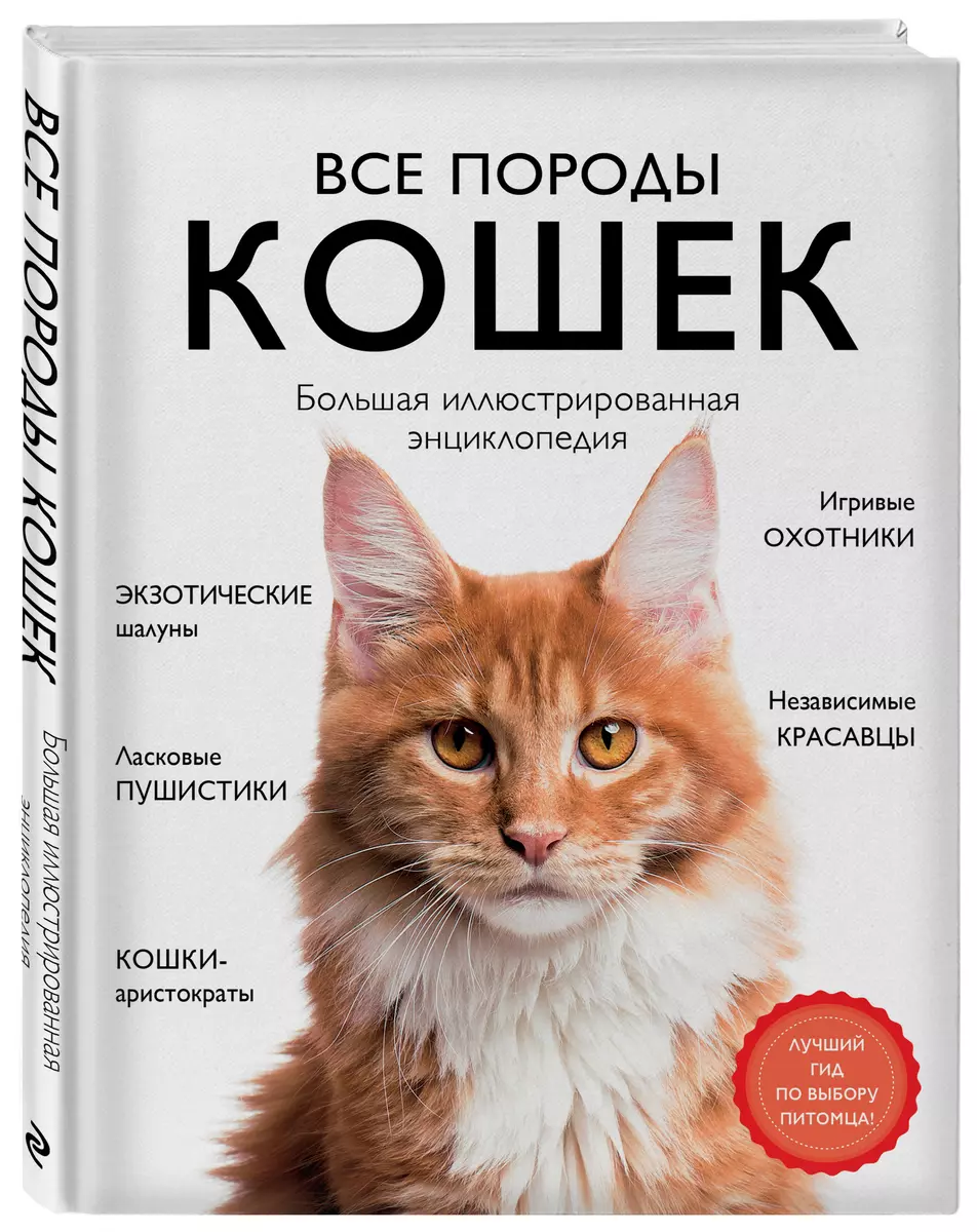 Все породы кошек. Большая иллюстрированная энциклопедия (Алина Ярощук) -  купить книгу с доставкой в интернет-магазине «Читай-город». ISBN:  978-5-04-113061-9