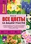 Все цветы на вашем участке — 2309202 — 1
