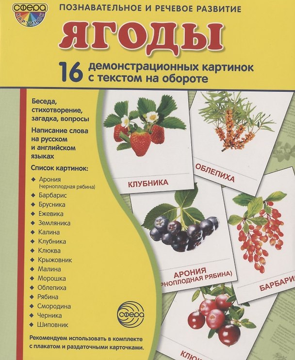 Книга Демонстрационные картинки СУПЕР Ягоды. 16 демонстрационных картинок с текстом (173х220 мм) () — 1