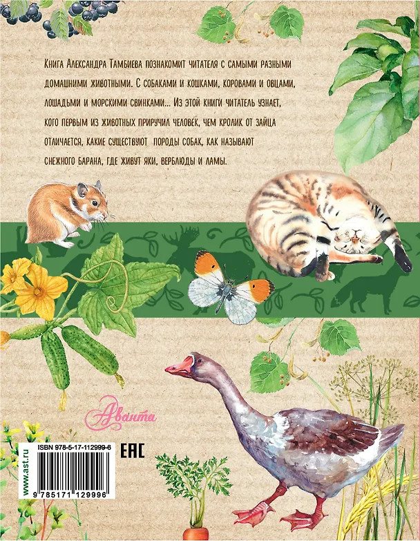 Книга Домашние животные (Александр Тамбиев) — 2
