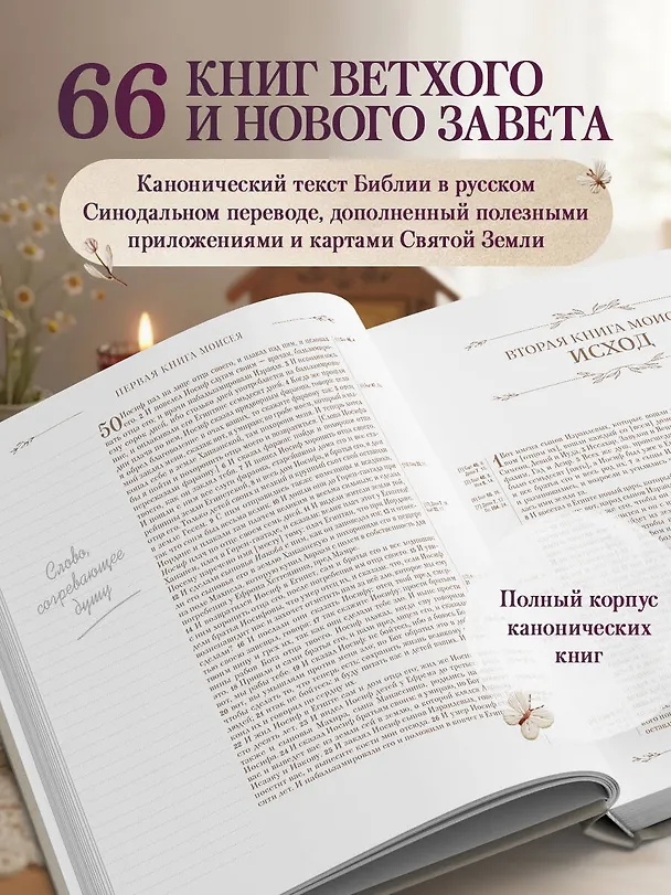 Книга Библия в русском синодальном переводе с полями для записей () — 6