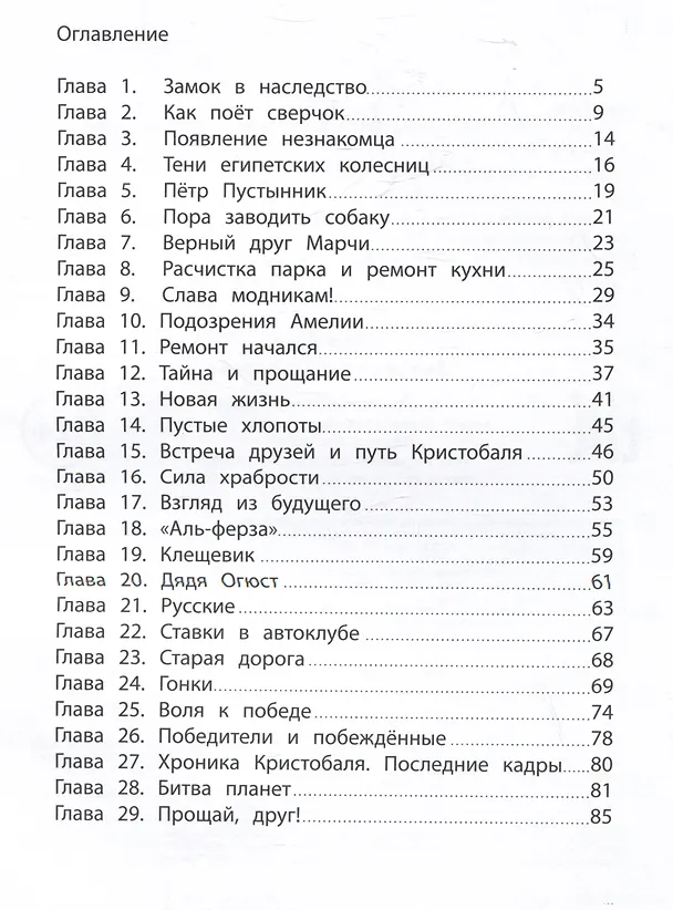 Книга Замок с планеты Земля (Елена Ива) — 7