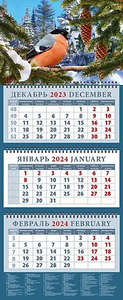 Календарь квартальный 2024г 320*760 "Снегирь" настенный, трёхблочный, спираль 2998272
