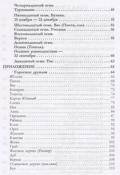 Книга Огам. Доступное руководство для гадания на ирландских рунах () — 3
