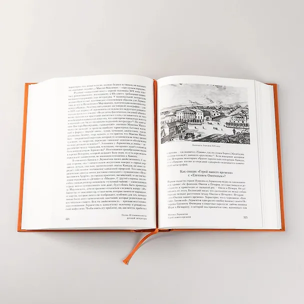 Книга [2 тома] Полка: О главных книгах русской литературы (Варвара Бабицкая, Михаил Велижев, Виктория Гендлина) — 20