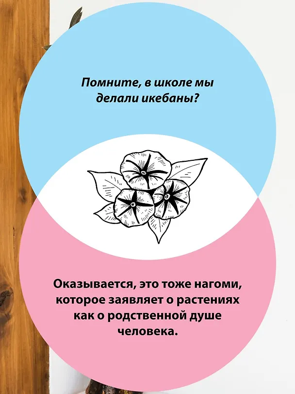Книга Глоток счастья по-японски. Комплект из 3-х книг с шоппером (Кен Моги, Эрин Ниими Лонгхёрст, Рафаэль Видалинг) — 5