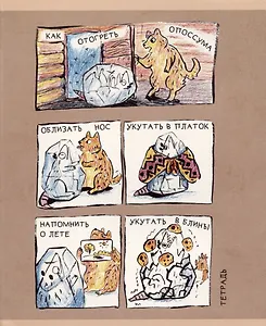 Тетрадь в клетку Listoff, "Опоссум", 48 листов