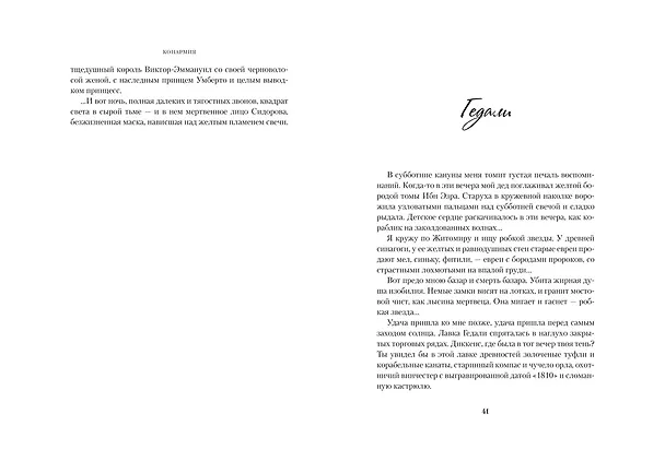 Книга Конармия. Одесские рассказы (Исаак Бабель) — 5