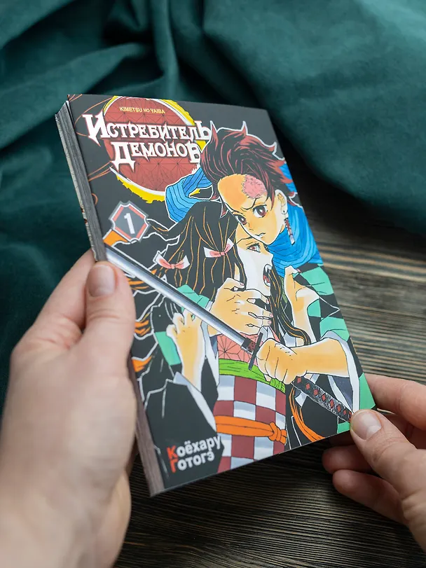 Истребитель демонов. Том 1 (Клинок, рассекающий демонов / Demon Slayer: Kimetsu no Yaiba). Манга 2912095 — 6