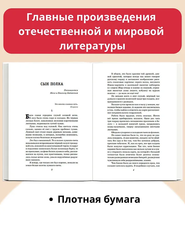 Книга Сын полка. Рассказы о войне (ил. В. Канивца) (Валентин Катаев) — 7