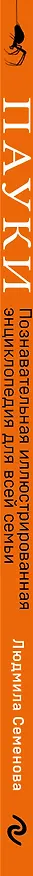 Книга Пауки: познавательная иллюстрированная энциклопедия для всей семьи (Людмила Семенова) — 4
