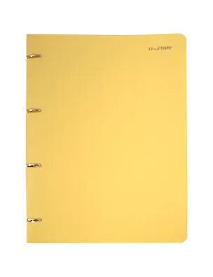 Тетрадь А4 80л кл. "Sunrise" на кольцах, смен.блок, пласт.обл. 3091871