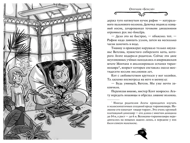 Книга Агата Мистери. Кн. 24. Месть на горе Фудзи (Стив Стивенсон) — 13