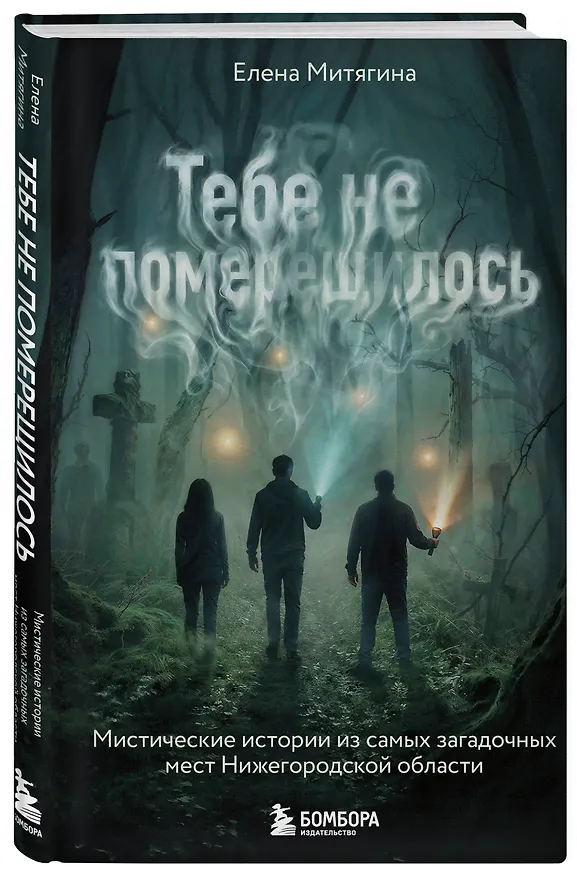 Книга Тебе не померещилось. Мистические истории из самых загадочных мест Нижегородской области (Елена Митягина) — 4