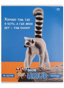 Тетрадь в клетку BG, "Лемур-шоу", 48 листов, в ассортименте