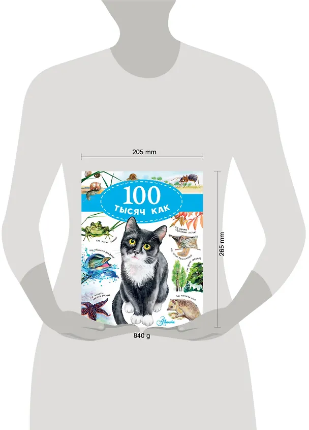 Книга 100 тысяч как (Павел Бобков) — 4