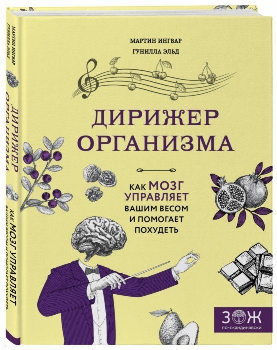

Дирижер организма. Как мозг управляет вашим весом и помогает похудеть