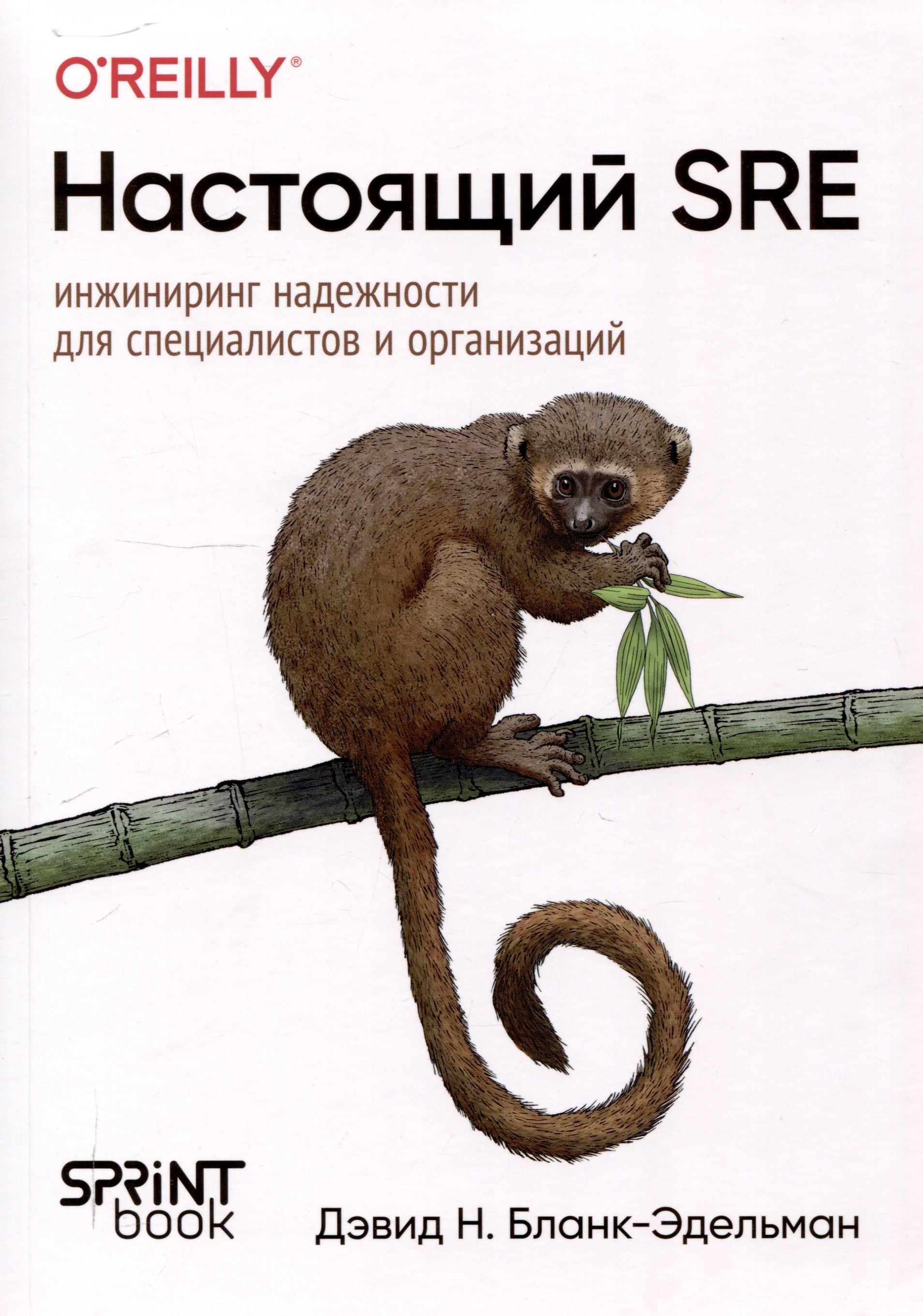 

Настоящий SRE: инжиниринг надежности для специалистов и организаций