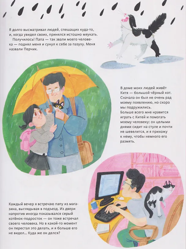 Книга Кошачье досье (Дарья Ярцева) — 6
