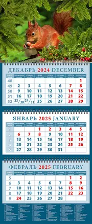 Календарь квартальный 2025г 320*760 "Белка с орехом" настенный, трёхблочный, спираль — 3053490 — 1