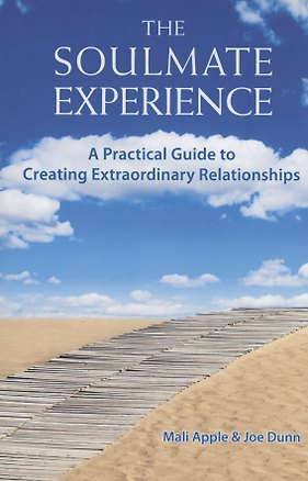 The Soulmate Experience 357085