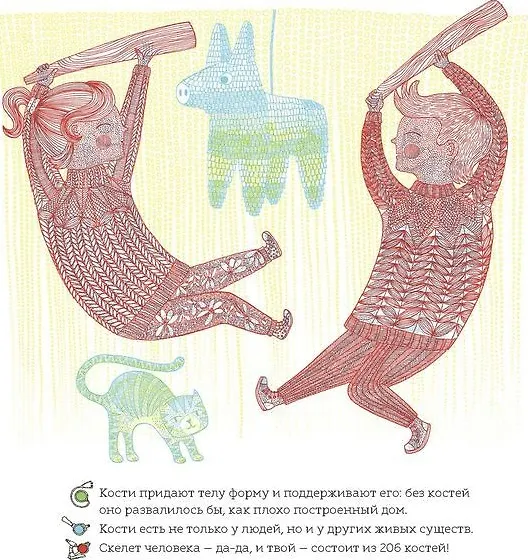 Книга Что у меня внутри? (Айна Бестард) — 6