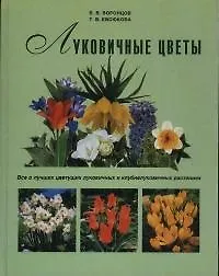 Книга Луковичные цветы (Валентин Воронцов)
