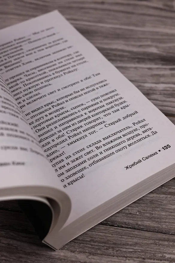 Книга Жребий Салема (Стивен Кинг) — 11