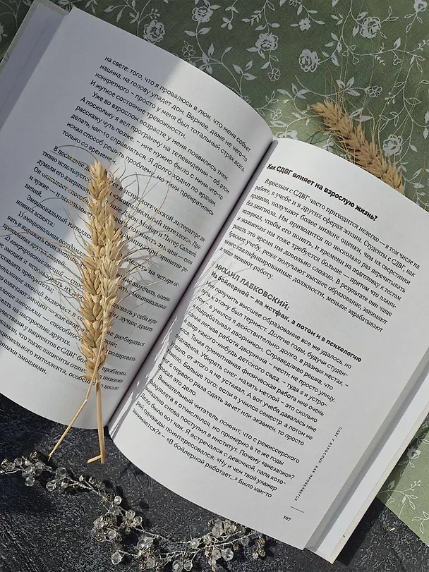 Книга Ребенок-ракета, ребенок-ураган. Руководство по СДВГ для любящих и уставших родителей (Михаил Лабковский) — 13