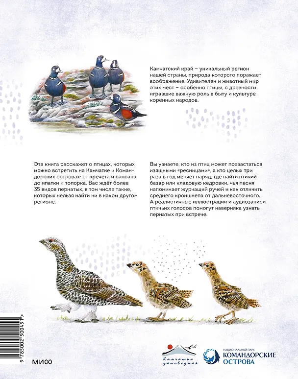 Книга Птицы Камчатки и Командорских островов. Где найти и как узнать (Анна Евсеева) — 2