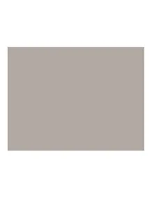 Бумага для пастели 50*65 "Mi-Teintes" 160г/м2 №343 серо-бежевый, Canson