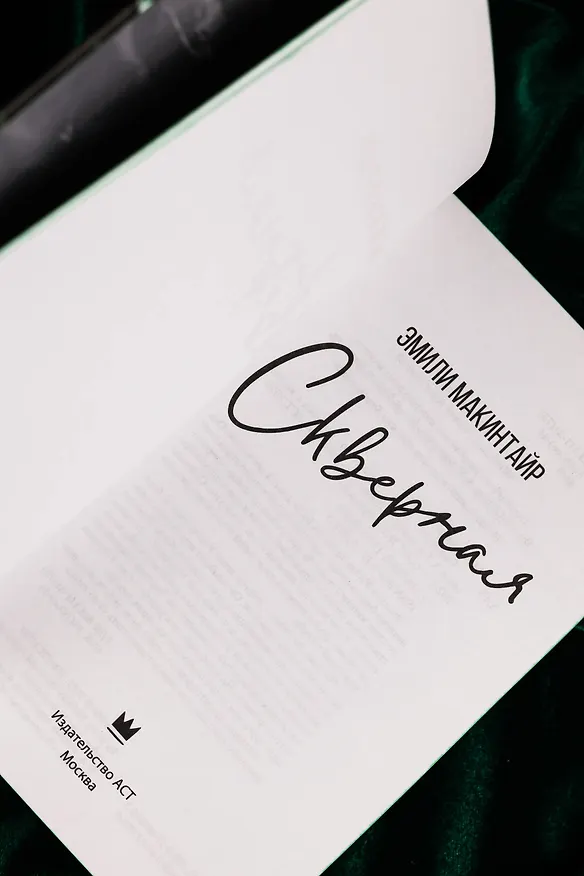 Книга Скверная. Специальное издание (Эмили Макинтайр) — 12