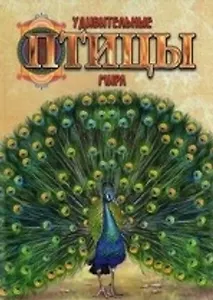 Удивительные птицы мира