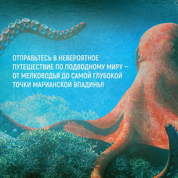 Книга Тайны морей и океанов. Большая иллюстрированная энциклопедия (Франческо Мило) — 10