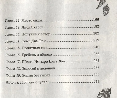 Книга Анима. Золотой стриж (Екатерина Соболь) — 3