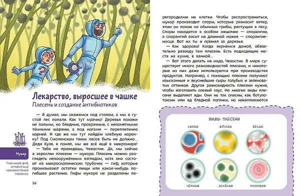 Книга Вирусы и микробы. Детская энциклопедия (Чевостик) (Алексей Бондарев) — 14