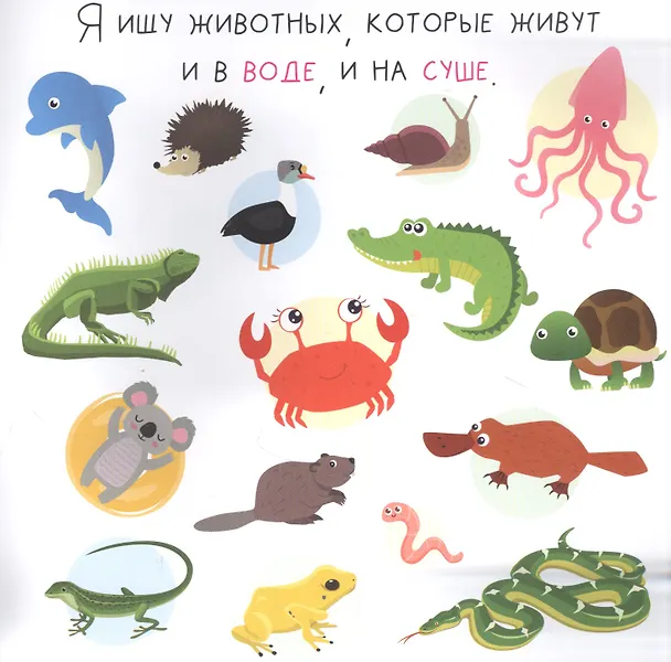 Книга Я ищу животных (Алёна Лядова) — 3